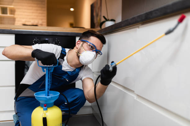 Best Exterminator Services  in Rossville, KS
