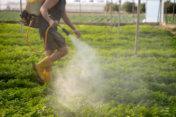 Best Exterminator Services  in Rossville, KS